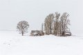 01 Teton NP